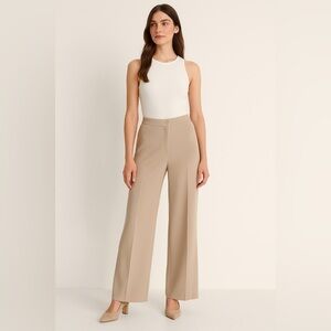 Beige Wide-Leg Dress Pants | Minimalist Chic size 8
